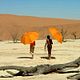 Foto - FILM - Viaje mágico a África : 174289