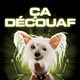 Como perros y gatos: La revancha de Kitty Galore