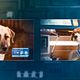 <b>Brad Peyton, Kevin Lima</b> Foto : Como perros y gatos: La revancha de Kitty Galore