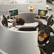 Como perros y gatos: La revancha de Kitty Galore : photo Brad Peyton, Kevin Lima