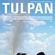 Tulpan : poster