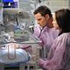 Anatomía de Grey : photo Amanda Fuller, Justin Chambers