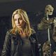 V (2009) : photo Elizabeth Mitchell