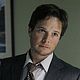 <b>Scott Wolf</b> Foto : NAVY: Investigación criminal