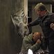 <b>Anthony Michael Hall, Michael Chiklis</b> Foto : Los increíbles Powell