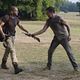 The Walking Dead