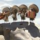 Rango : photo Gore Verbinski
