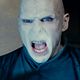 Harry Potter y las reliquias de la muerte: Parte 2 : photo David Yates, Ralph Fiennes