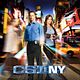 <b>Gary Sinise, Sela Ward</b> Foto : CSI: Nueva York