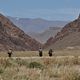 Camino a la libertad : photo Peter Weir