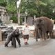 <b>Zooloco</b> Foto 