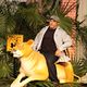 Zooloco : photo Frank Coraci, Kevin James