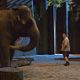Zooloco : photo Frank Coraci, Kevin James
