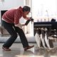<b>Los pingüinos del Sr. Poper</b> Foto 