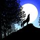 Les Contes de la nuit : photo Michel Ocelot