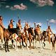 <b>Kevin Costner, Kevin Reynolds</b> Foto : Bailando con lobos