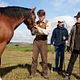 War Horse (Caballo de batalla) : photo Steven Spielberg