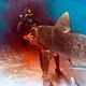 El cazador de tiburones : photo Enzo G. Castellari