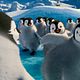 Happy Feet 2 (3D) : photo