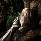 <b>Peter Jackson</b> Foto : El hobbit