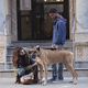 Buscarse la vida en América : photo Lake Bell
