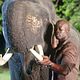 <b>Djimon Hounsou</b> Foto : White elephant