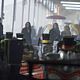 El círculo secreto : photo Britt Robertson, Chris Zylka, Phoebe Tonkin, Shelley Hennig