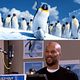 Happy Feet 2 (3D) : photo