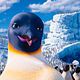 Happy Feet 2 (3D) : photo George Miller