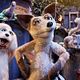 Mongrels : photo