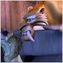 Ice Age: La Edad de Hielo
