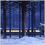 Polar Express