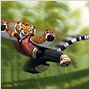 Kung Fu Panda