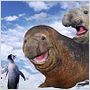 Happy Feet: rompiendo el hielo