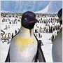 Happy Feet: rompiendo el hielo