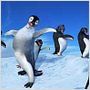 Happy Feet: rompiendo el hielo