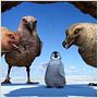Happy Feet: rompiendo el hielo