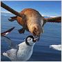 Happy Feet: rompiendo el hielo
