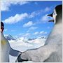 Happy Feet: rompiendo el hielo