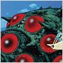 Nausicaä
