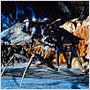 Starship Troopers (Las brigadas del espacio)