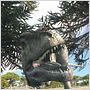 Dinosaurios Alive