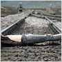 Trainspotting