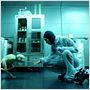 Splice. Experimento mortal