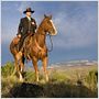 Appaloosa