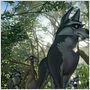 El Lince Perdido