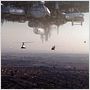 District 9