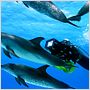 OceanWorld 3D