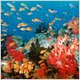 OceanWorld 3D