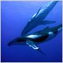 OceanWorld 3D